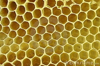 beeswax-honeycomb-14962745.jpg